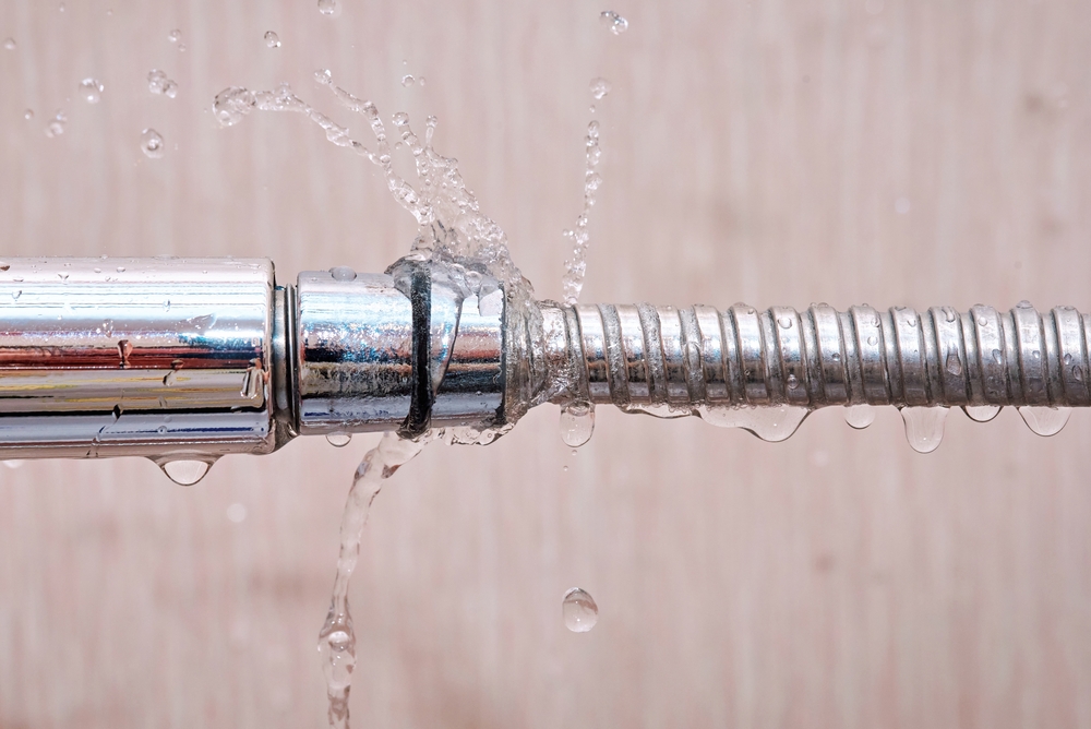 Leak detection
